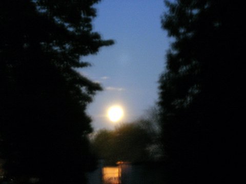 Full Moon at Locarno Beach