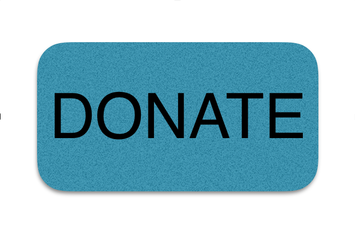 Donation Button